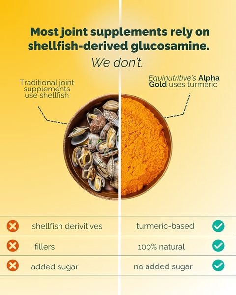 A split-screen comparison visual that contrasts traditional shellfish-based joint supplements with a modern, turmeric-based alternative.